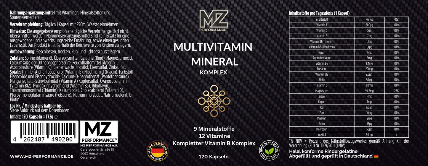 Multi Vitamin und Mineral Komplex - 120 Softgels